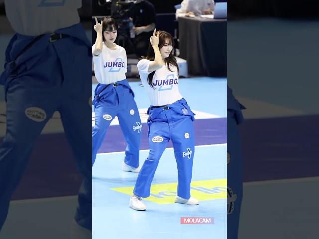 특별공연 Phycho 대한항공 점보스 정다혜 치어리더 직캠 Jung Dahye Cheerleader