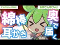 【ASMR】【お姉さん呼びver】すやーっと眠れる、ずんだもんのじっくり奥まで綿棒耳かきなのだ【綿棒耳かき】Ear Massage / Whispeing