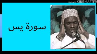 سورة يس- محمد الهادي توري