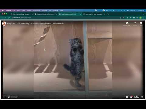 Using Wordpress for CSP Bypass by exploiting SOME