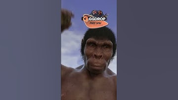 🔪 Why do you need a knife in CS2? 🔥Grab the code 👉 GNIFE 👈  11% to your top up + one free spin