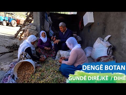 DENGÊ BOTAN - GUNDÊ DIRÊJKÊ  / DIHÊ