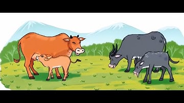 BÀI TOÁN PHÉP  CỘNG