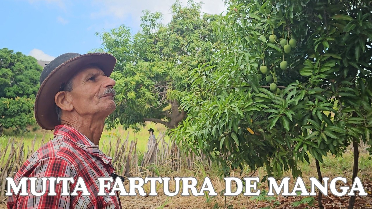 FARTURA DE MANGAS E BOA PROSA COM CHICO VICTOR NO ARVOREDO