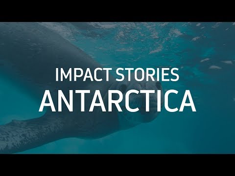 Impact Stories - Antarctica