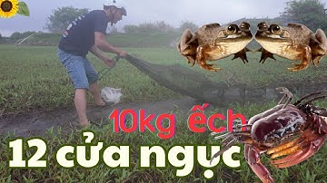 Mùa Mưa Đến : Tục Ếch Bắt Bằng Loa | 12 Cửa Ngục Trúng Ếch Bà