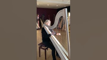 How does this harp sound? #harpmusic #harps #leverharp