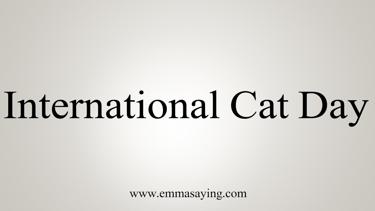 how to say in english jamun How To Pronounce International Cat Day