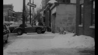 Rabbit driven to drink  (1973)