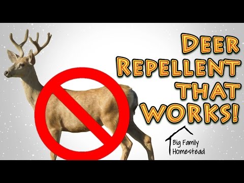 How To Make Deer Repellent That Works Great