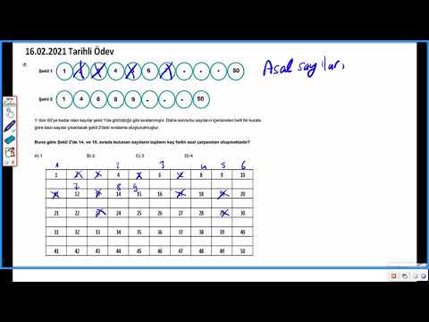 6.Sınıf Matematik 1