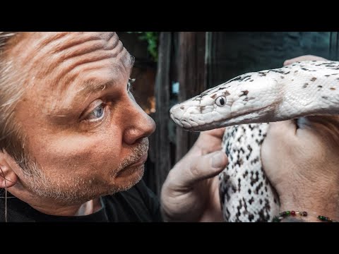 speak-reptile!!-funny-edition!-|-brian-barczyk