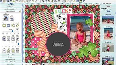 Mixin it Up- Trouble Selecting an Embellishment