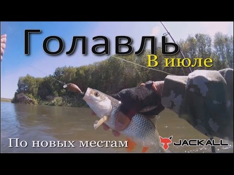 Голавль в июле.