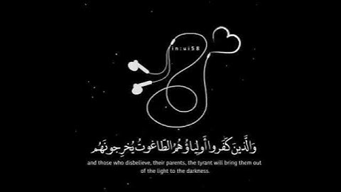 حالات واتس اب تلاوة خاشعة🎧 القارئ عبدالرحمن عبدالسلام💛