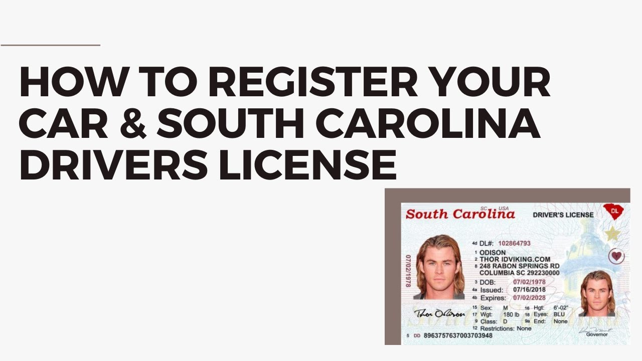 south carolina dmv trip permit