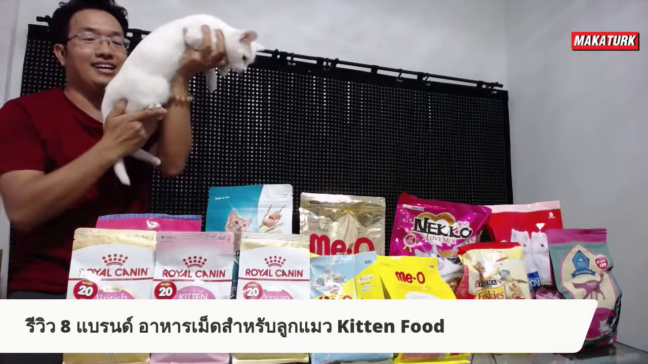 รีวิว 8 แบรนด์ อาหารสำหรับลูกแมวยอดนิยม Kitten Food