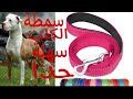 أسهل طريقة عمل حزام للكلب سمطة للكلب