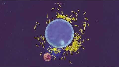 Lifelike: Chapter One. Level 4. Walkthrough. [Apple Arcade]