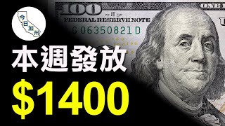 聯邦$1,400救濟金 國稅局本週發放第二批