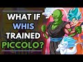 What if WHIS Trained PICCOLO? (WhIMs #20)