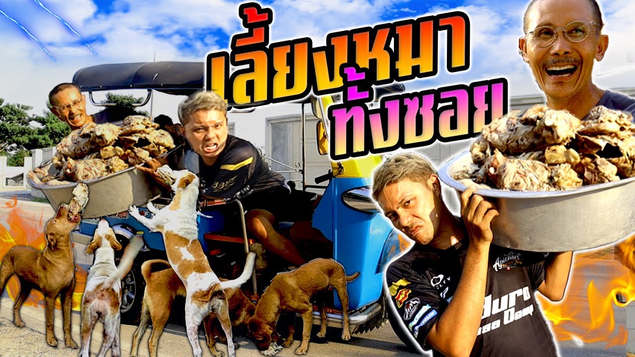 พาพ่อเลี้ยงหมาทั้งซอย!!!  โครงไก่ 20 กิโล อิ่มกันถ้วนหน้า พ่อดีใจมาก