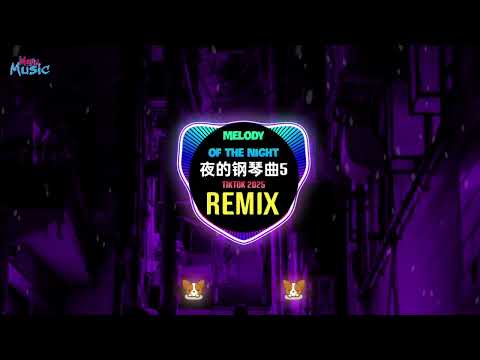 Melody Of The Night 夜的钢琴曲5 抖音DJ口水旋律版 Remix Tiktok 2025 New Ver Hot Tiktok Douyin DJ阿智版