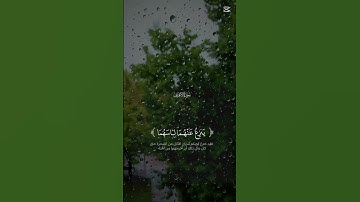 تلاوة خاشعة تريح القلوب #راحة_نفسية #quran  #القرآن_الكريم