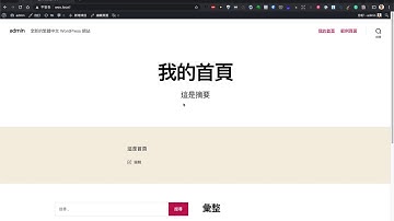 如何讓 WordPress 頁面支援摘要 excerpt -  使用 Code Snippets 外掛
