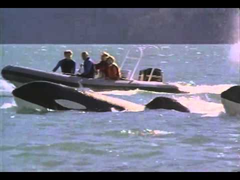 Free Willy 3 The Rescue Trailer 1997