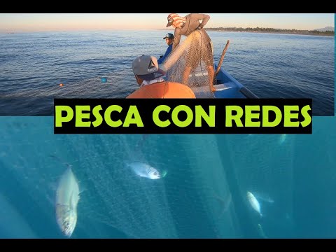 Trasmallo ORIGINAL Para Pesca Abundante En Mar Y Ríos REDES DE