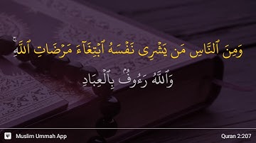 سوره بقره آیه 207
