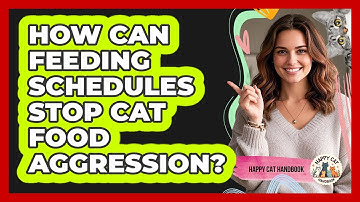 How Can Feeding Schedules Stop Cat Food Aggression? - Happy Cat Handbook