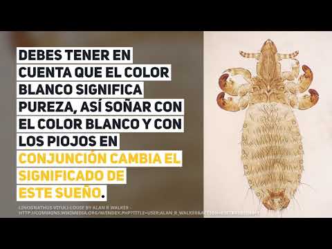 que significa piojos en