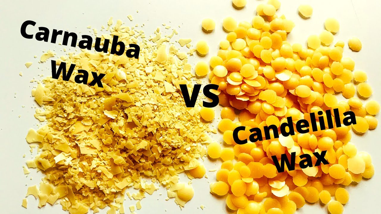 Candelilla Wax VS Carnauba Wax 