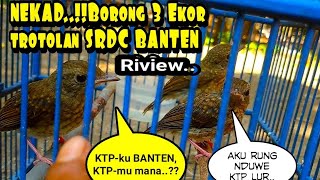 Riview trotolan SRDC Banten &perawatan hariannya