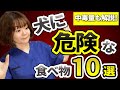 【危険】犬に食べさせてはいけない食べ物10選！【獣医】