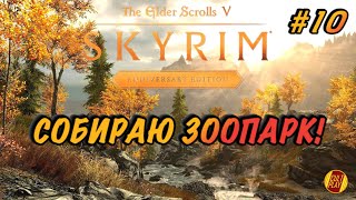 Skyrim Anniversary Edition СТРИМ (обзор) - полное прохождение на русском❗