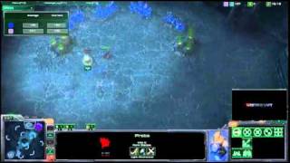 Hidden bug discovered Starcraft 2