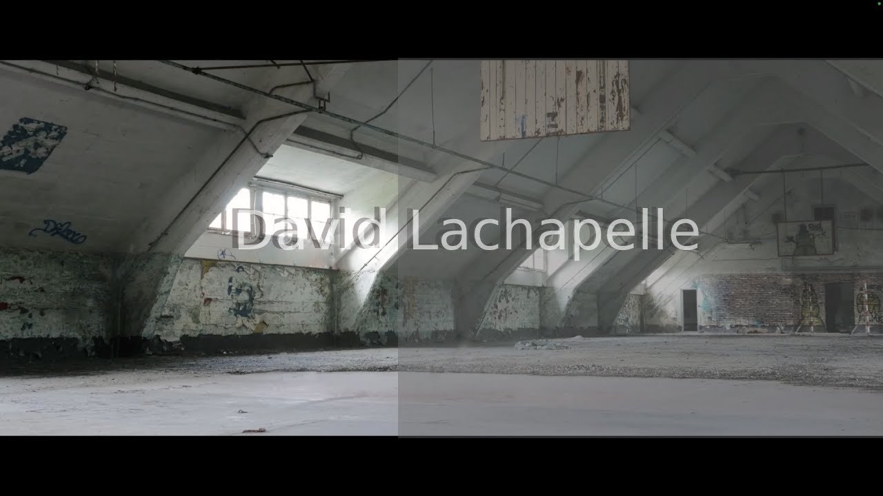 David Lachapelle (portfolio)