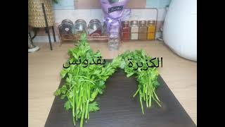 فرق بين الكزبرة والبقدونس