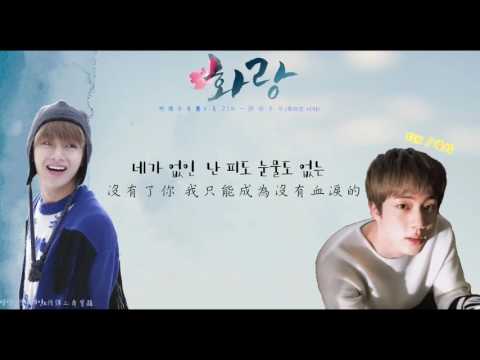 [繁韓中字] BTS防彈少年團 V & JIN - 非你不可(죽어도 너야) 花郎(화랑)OST