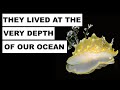 They Lived at the Very Depth of Our Ocean