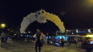 LA LEYENDA DE ???? LA PILA DEL TECOLOTE. ⛪TAPALPA, PUEBLO MAGICO ⛺ LA SIERRA DEL TIGRE...????