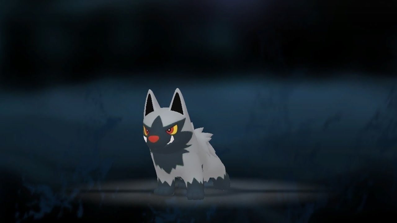 Pokédex 261 Poochyena YouTube