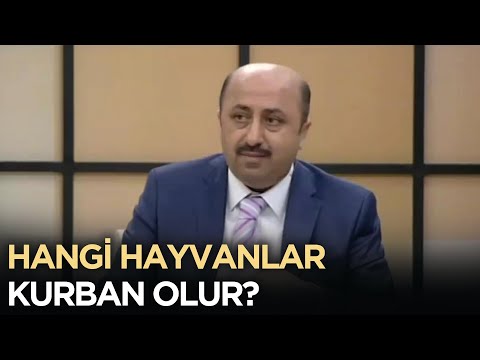 Kurban İçin Uygun Olan Hayvanların Özellikleri Nelerdir? | Ömer Döngeloğlu ile Önden Gidenler