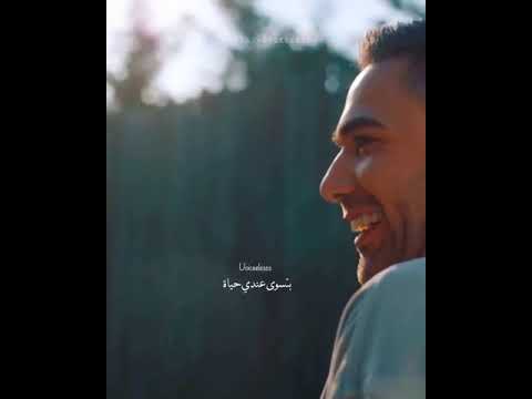كل دقة بقلبي بتناديك محمد حماقي حالات وتس حب
