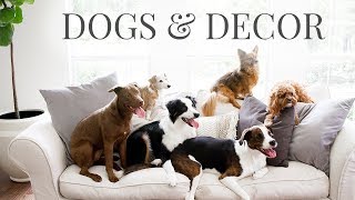 Home Design with Pets in Mind - Dogs and Decor - Farmhouse Living