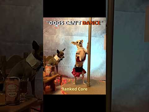 The best dog dances 🐶🕺 #funny #hilariousfails
