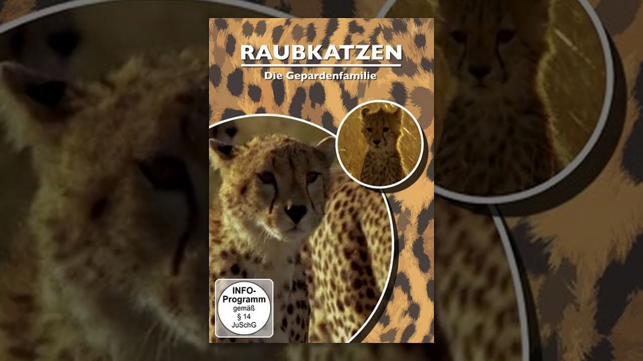 Raubkatzen - Die Gepardenfamilie